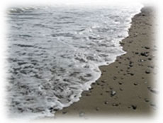 Photo of stones on Bray beach